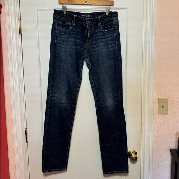 American Eagle Outfitters Denim - American Eagle Skinny Jean | 14 long